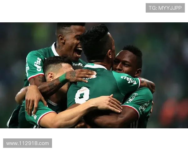 巴西甲级联赛高清直播:绿茵豪门激战正酣